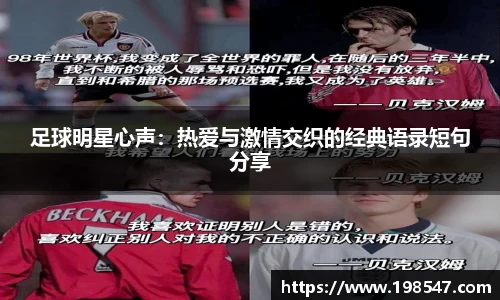 米兰体育官网